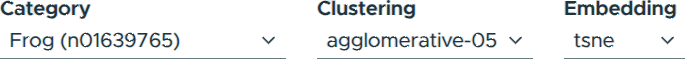 Category Selection, Embedding Selection, and Clustering Selection in the ViRelAy UI