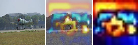Sample Image in All Display Modes