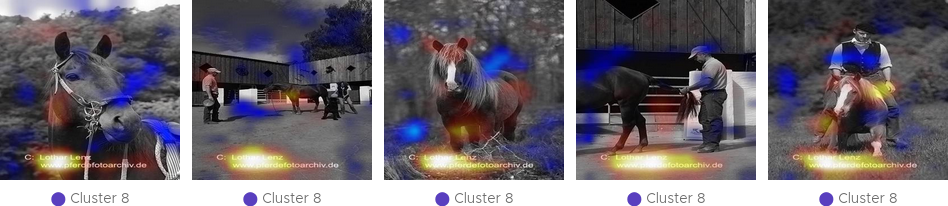 Input Images of the Outlier Cluster in the Class Horse with Attribution Overlay